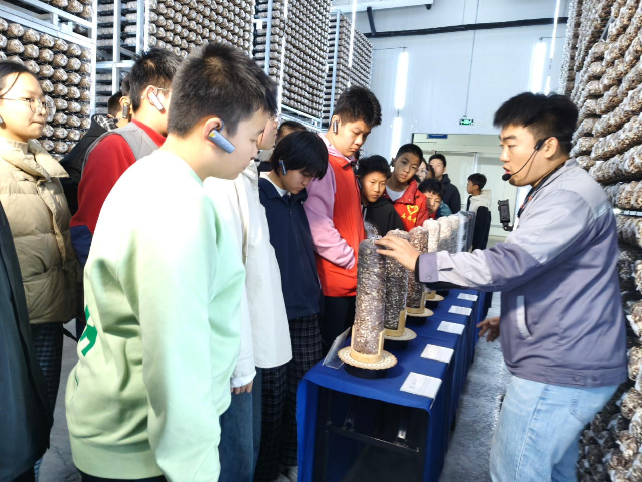 099541de38cfa8b844907cb7bbb6e563